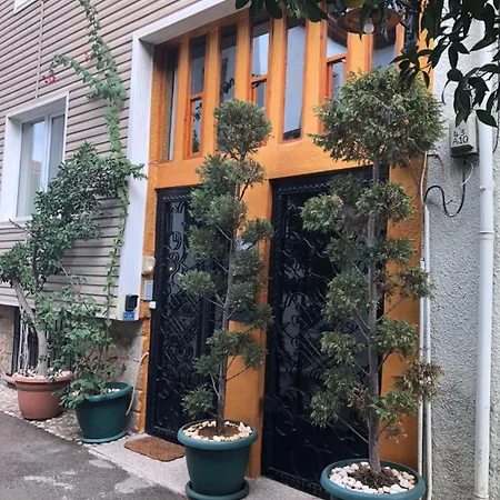 公寓 Kaleici Muethis Tasarim Harika Ev 安塔利亚